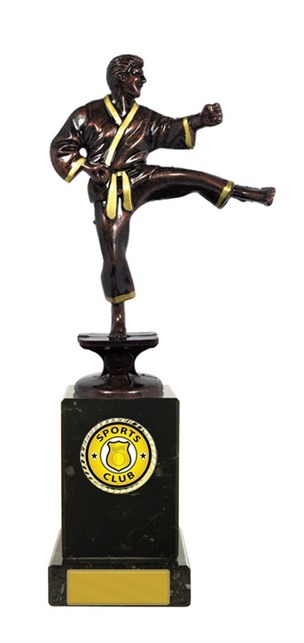 w15-5301_karate-trophies.jpg
