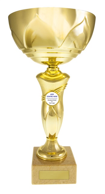 w17-0804_discount-trophy-cups.jpg