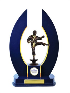 w17-3901_discount-martial-arts-trophies.jpg