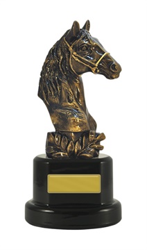 w17-5312_discount-horse-sports-trophies.jpg