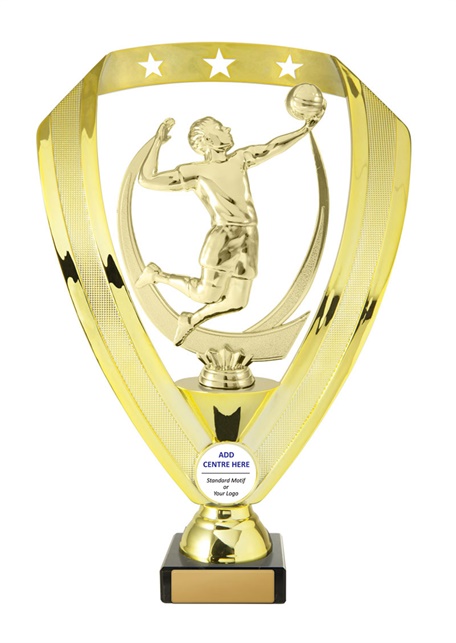w17-6216_discount-volleyball-trophies.jpg