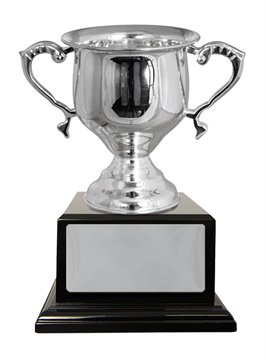 w18-0201_discount-cup-trophies.jpg