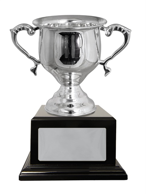 w18-0201_discount-cup-trophies.jpg