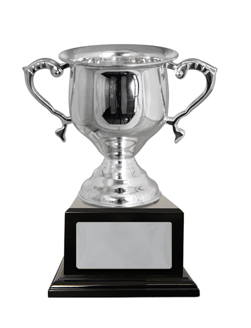 w18-0201_discount-cup-trophies.jpg