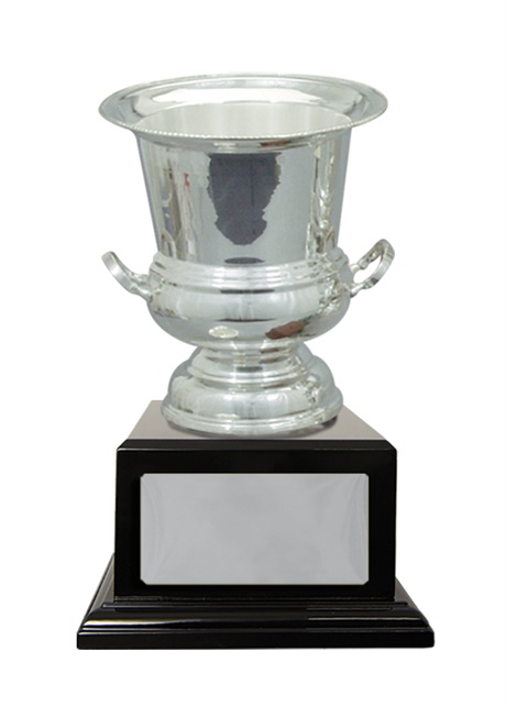 w18-0204_discount-cup-trophies.jpg