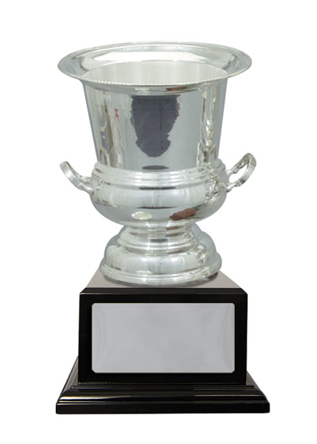 w18-0204_discount-cup-trophies.jpg