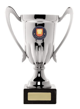 w18-1501_discount-cup-trophies.jpg