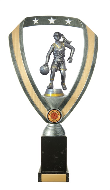 w18-2806_discount-basketball-trophies.jpg