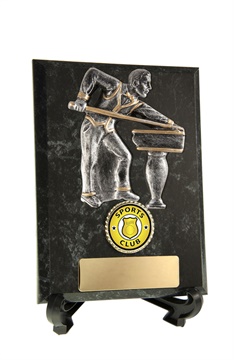 w18-2901_discount-billards-snooker-pool-trophies.jpg