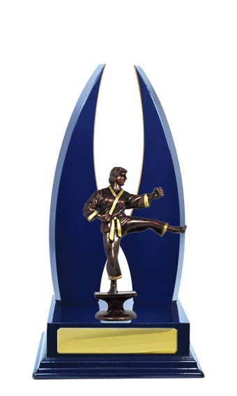 w18-3506_discount-martial-arts-trophies.jpg