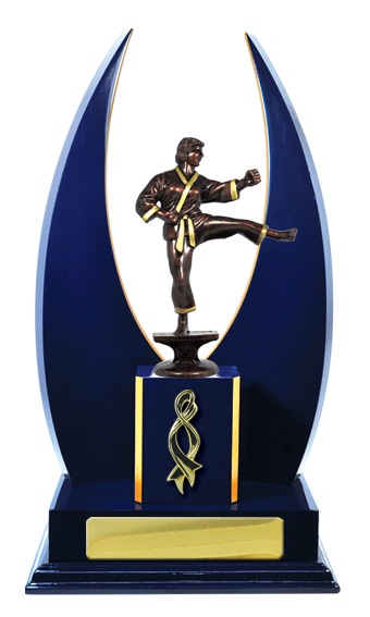 w18-3507_discount-martial-arts-trophies.jpg