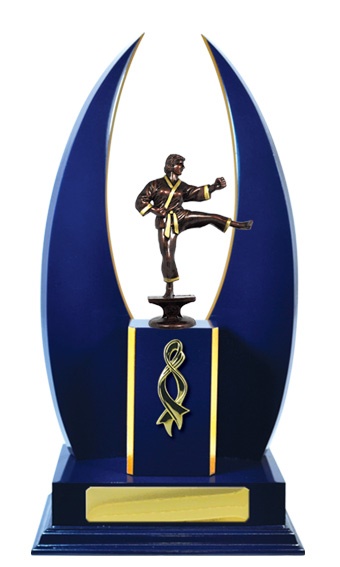 w18-3507_discount-martial-arts-trophies.jpg