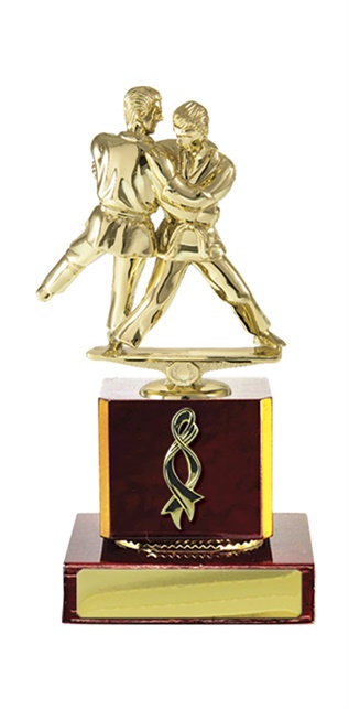 w18-3510_discount-martial-arts-trophies.jpg