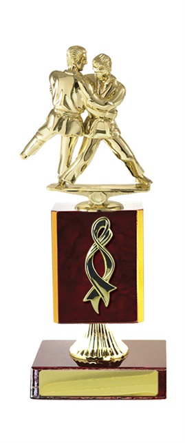 w18-3511_discount-martial-arts-trophies.jpg