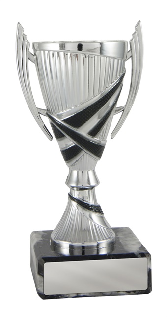 w18-5109_discount-cup-trophies.jpg