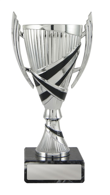 w18-5109_discount-cup-trophies.jpg