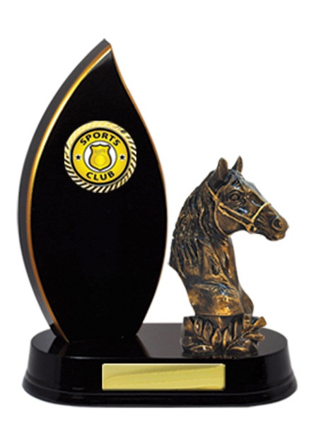 w18-5510_discount-horse-sports-trophies.jpg