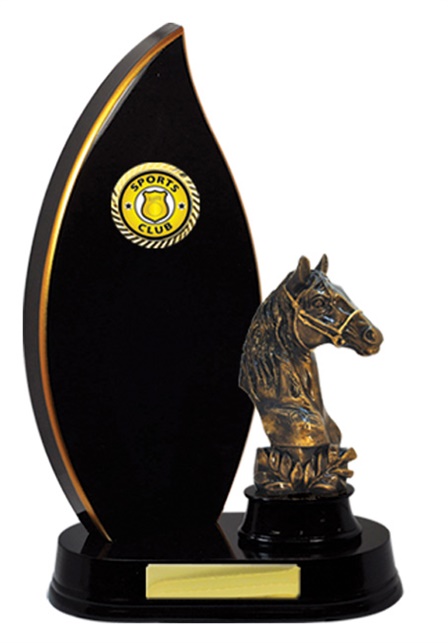 w18-5510_discount-horse-sports-trophies.jpg