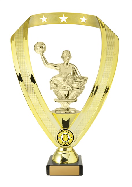 w18-6604_discount-water-polo-trophies.jpg