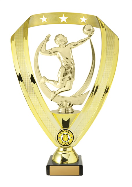 w18-6616_discount-volleyball-trophies.jpg