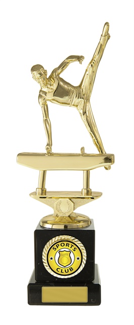 w19-10204_discount-gymnastics-trophies.jpg