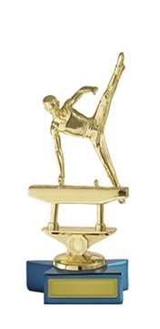 w19-10340_discount-gymnastics-trophies.jpg