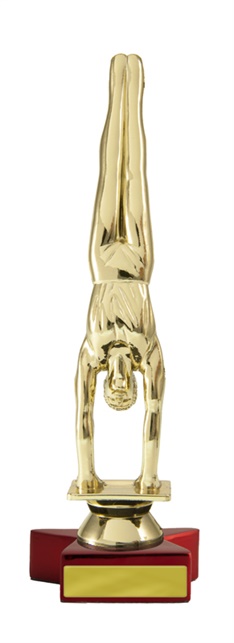 w19-10343_discount-gymnastics-trophies.jpg