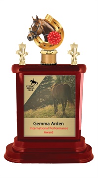 w19-11004_discount-horse-racing-trophies.jpg