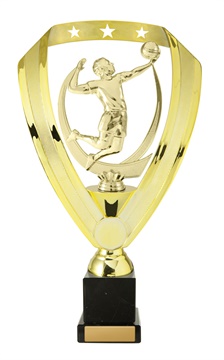 w19-12117_discount-volleyball-trophies.jpg