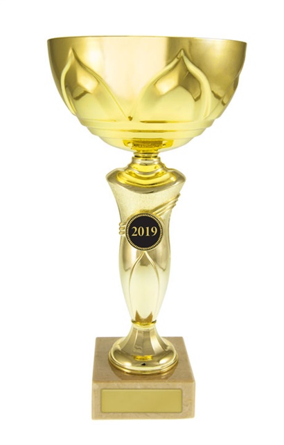 w19-2210_discount-cups-trophies.jpg
