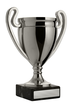 w19-2219_discount-cups-trophies.jpg