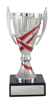 w19-2407_discount-cups-trophies.jpg