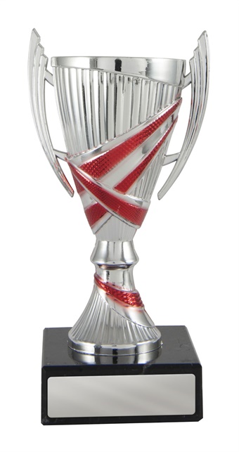 w19-2407_discount-cups-trophies.jpg