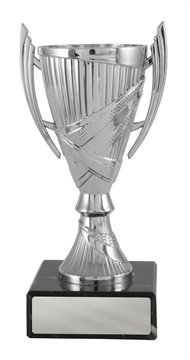 w19-2413_discount-cups-trophies.jpg