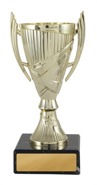 w19-2419_discount-cups-trophies.jpg