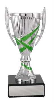 w19-2507_discount-cups-trophies.jpg