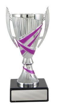 w19-2513_discount-cups-trophies.jpg