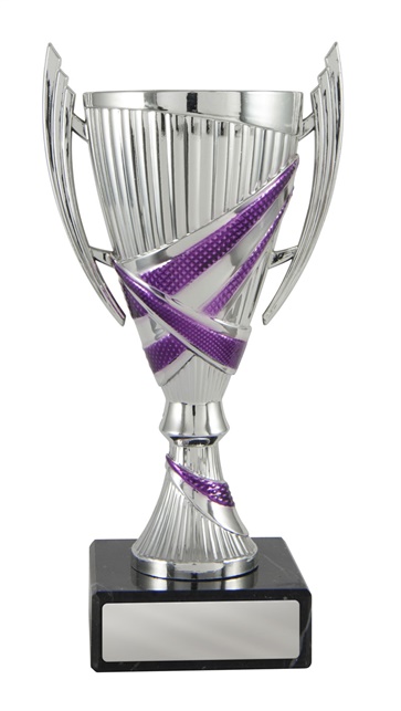 w19-2519_discount-cups-trophies.jpg