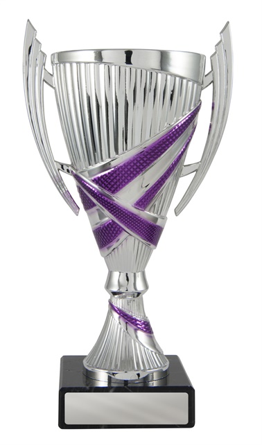 w19-2519_discount-cups-trophies.jpg