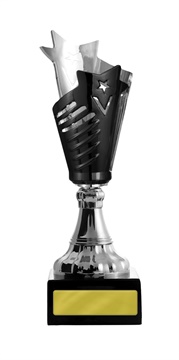 w19-2601_discount-cups-trophies.jpg