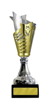 w19-2606_discount-cups-trophies.jpg