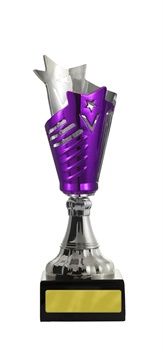 w19-2626_discount-cups-trophies.jpg