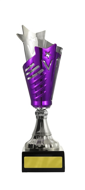 w19-2626_discount-cups-trophies.jpg