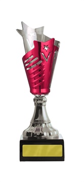 w19-2631_discount-cups-trophies.jpg