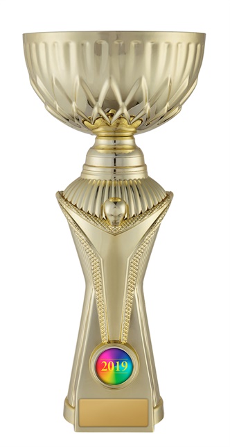 w19-3101_discount-cups-trophies.jpg