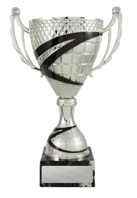 w19-3301_discount-cups-trophies.jpg