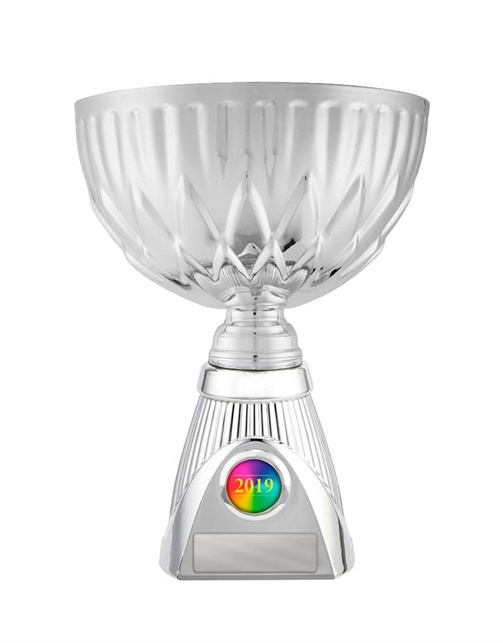 w19-3526_discount-cups-trophies.jpg