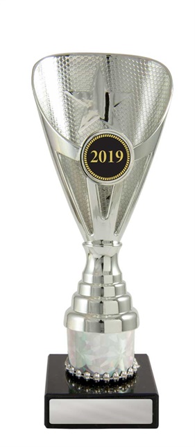 w19-3601_discount-cups-trophies.jpg
