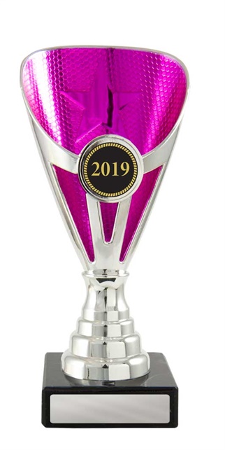 w19-3626_discount-cups-trophies.jpg