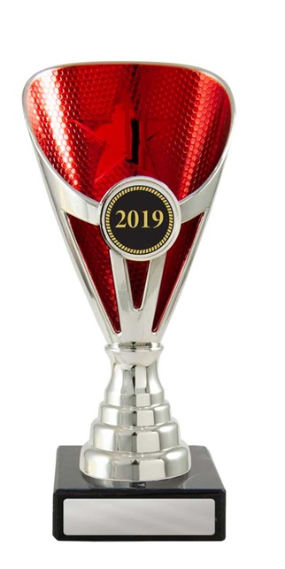 w19-3636_discount-cups-trophies.jpg